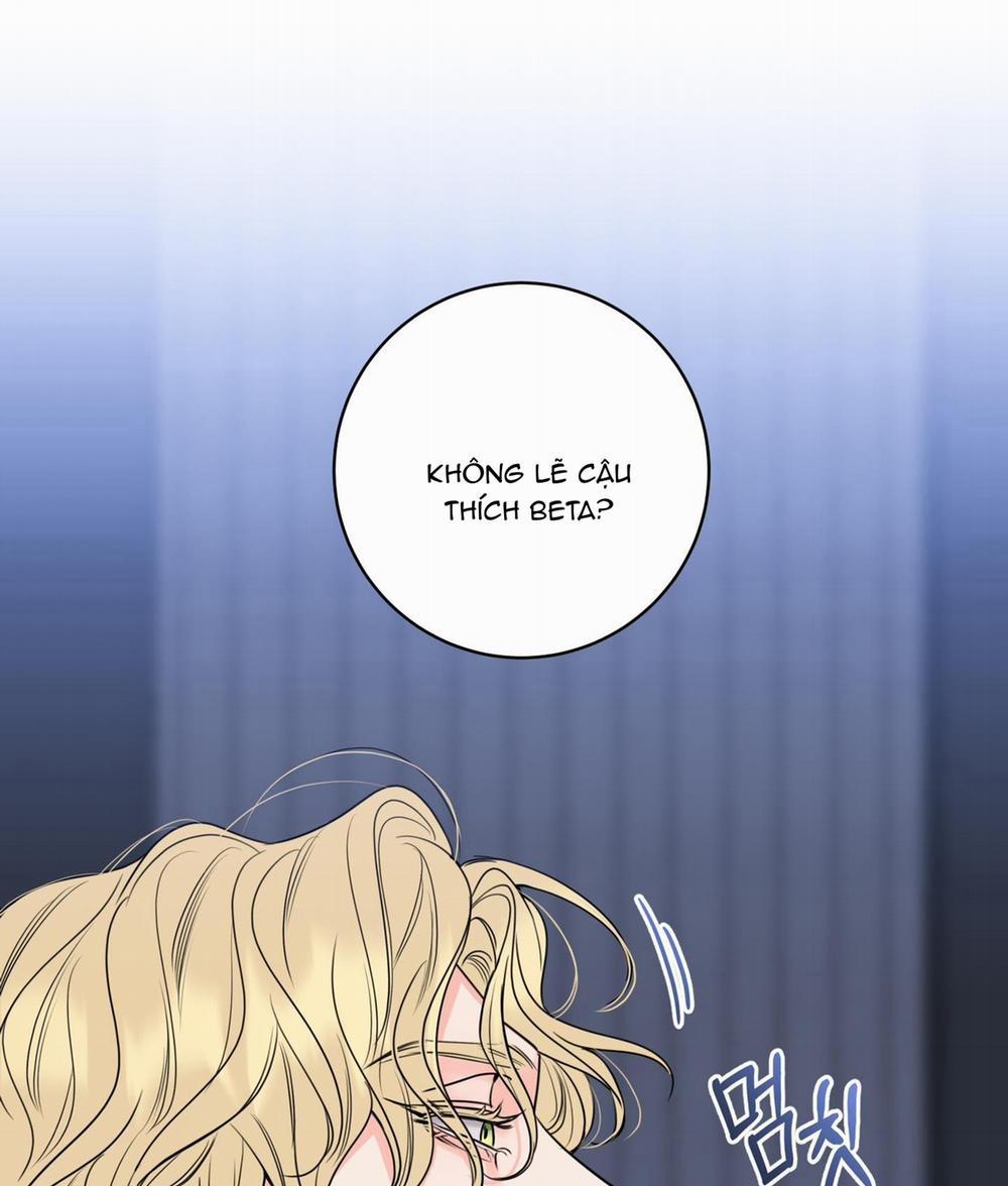 Honey Trouble - Rắc Rối Ngọt Ngào 12 trang 16