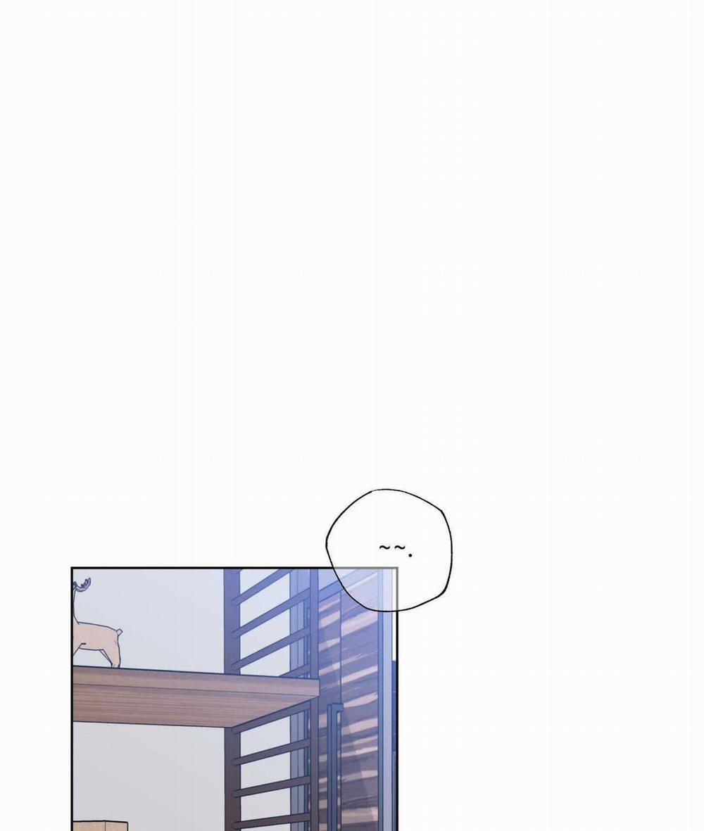 Honey Trouble - Rắc Rối Ngọt Ngào 14 trang 1