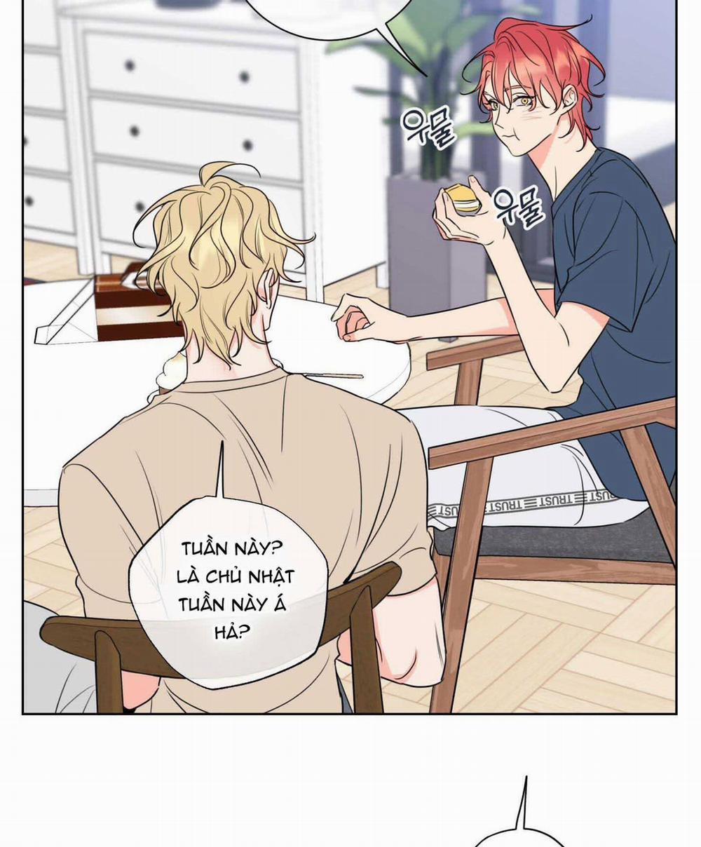 Honey Trouble - Rắc Rối Ngọt Ngào 14 trang 11