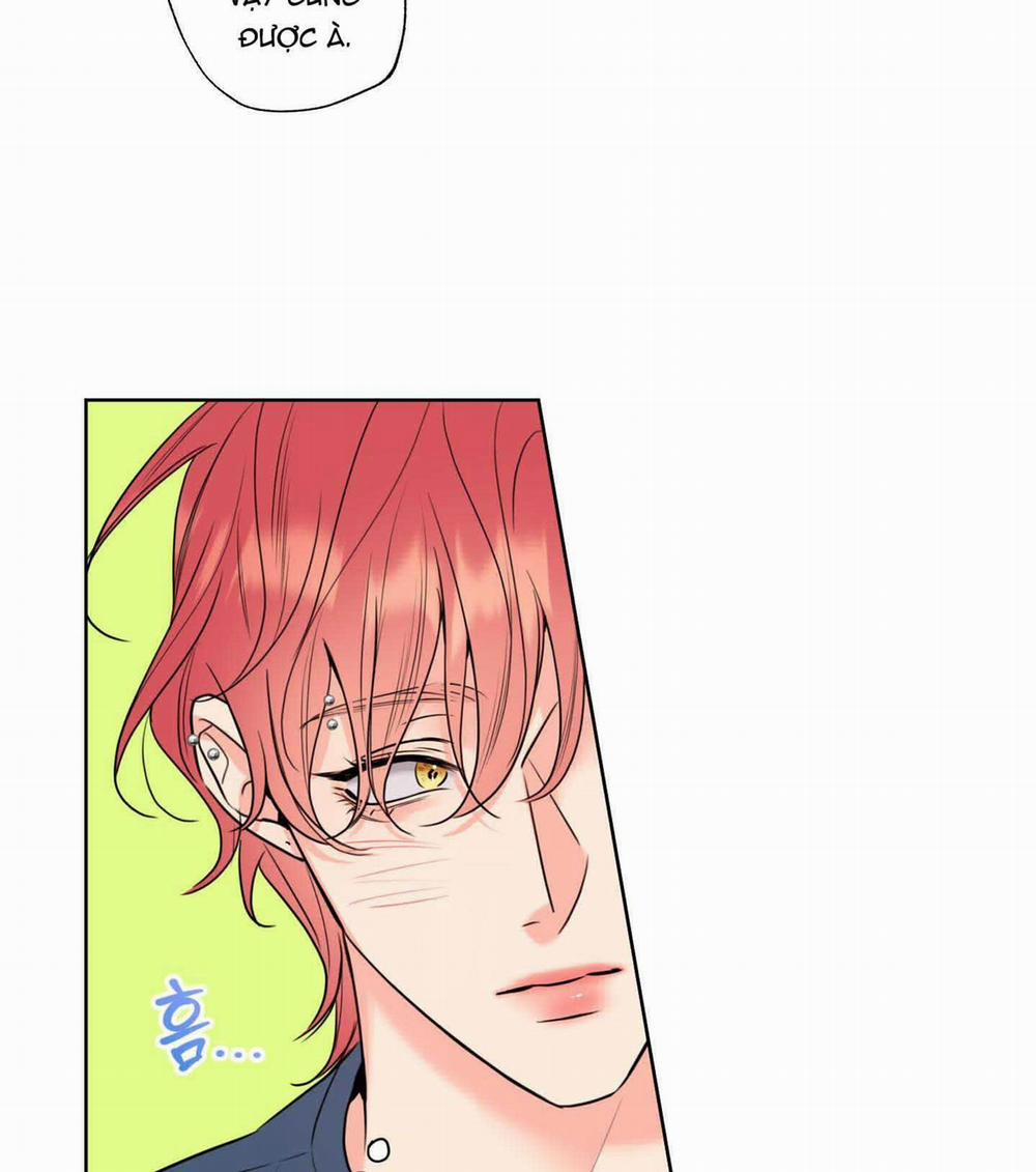 Honey Trouble - Rắc Rối Ngọt Ngào 14 trang 16
