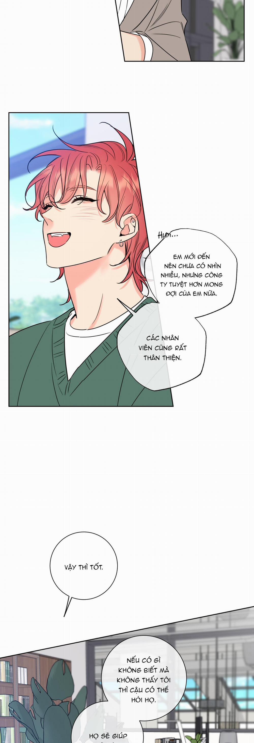 Honey Trouble - Rắc Rối Ngọt Ngào 17 trang 32