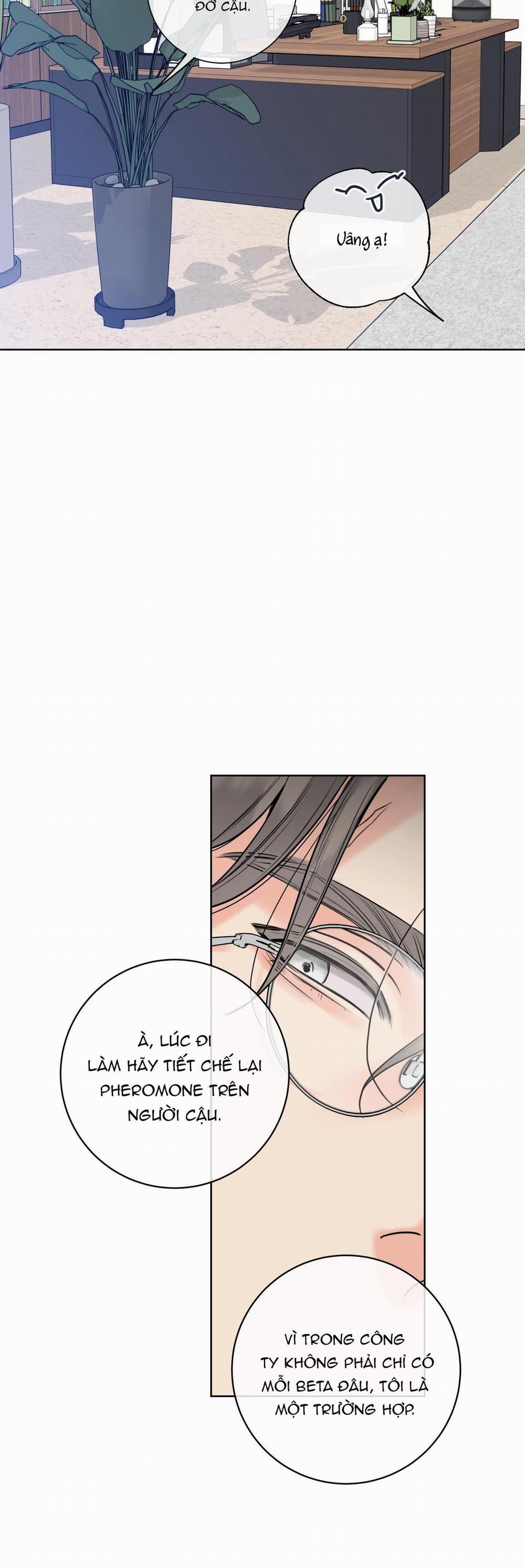 Honey Trouble - Rắc Rối Ngọt Ngào 17 trang 33