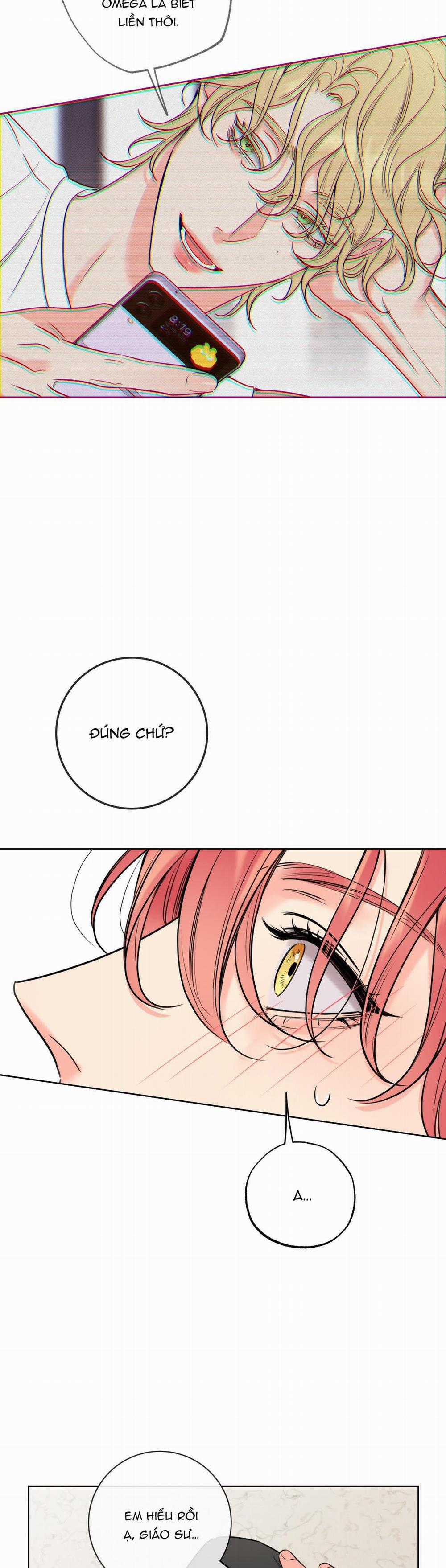 Honey Trouble - Rắc Rối Ngọt Ngào 17 trang 39