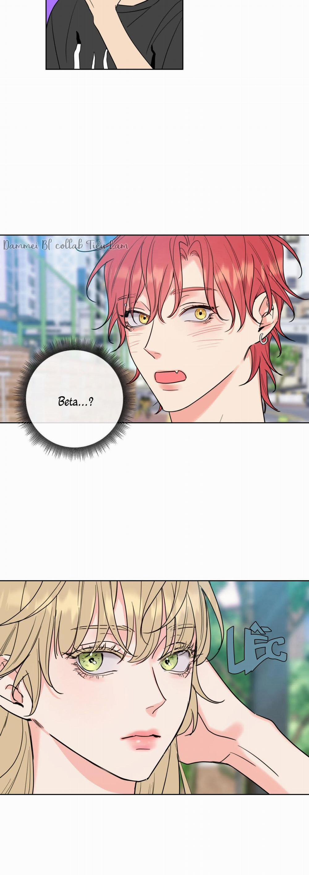 Honey Trouble - Rắc Rối Ngọt Ngào 2 trang 21