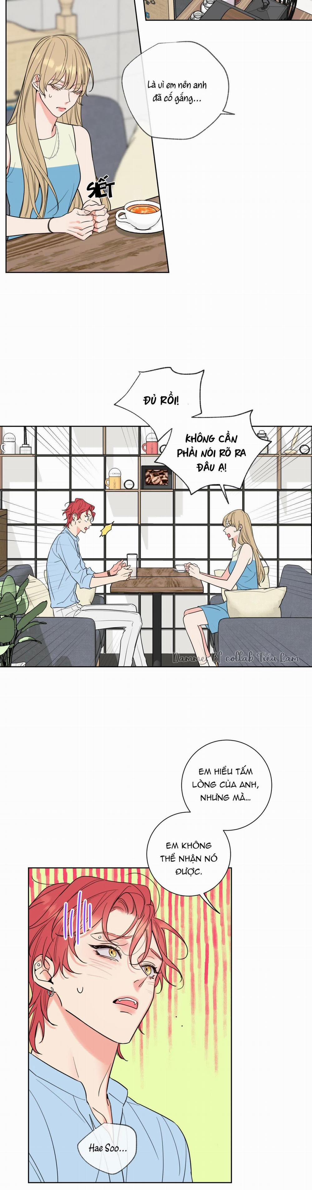 Honey Trouble - Rắc Rối Ngọt Ngào 2 trang 5