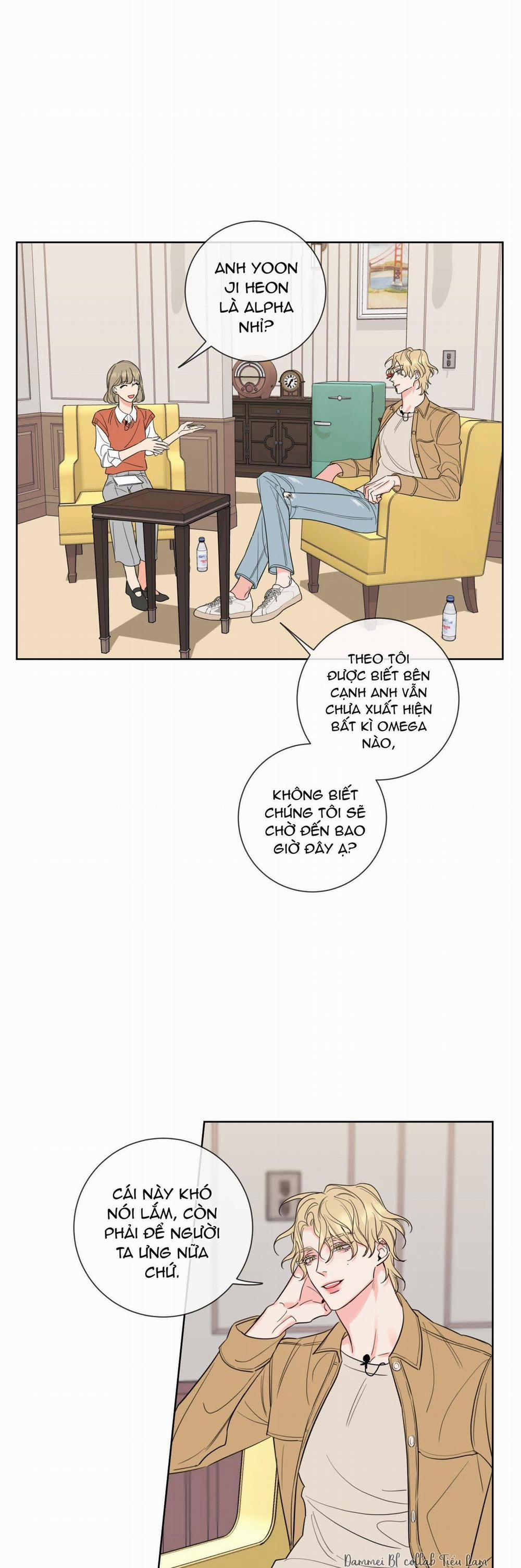 Honey Trouble - Rắc Rối Ngọt Ngào 4 trang 10