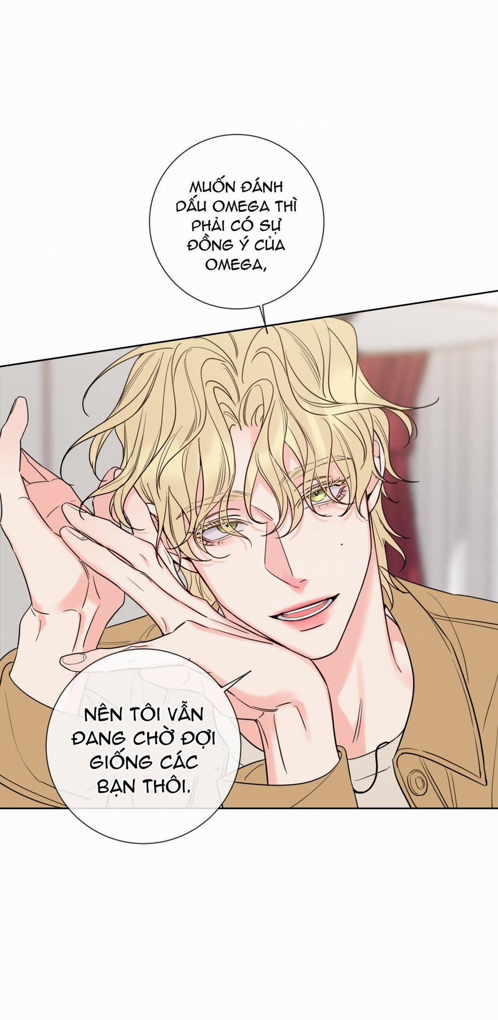 Honey Trouble - Rắc Rối Ngọt Ngào 4 trang 12