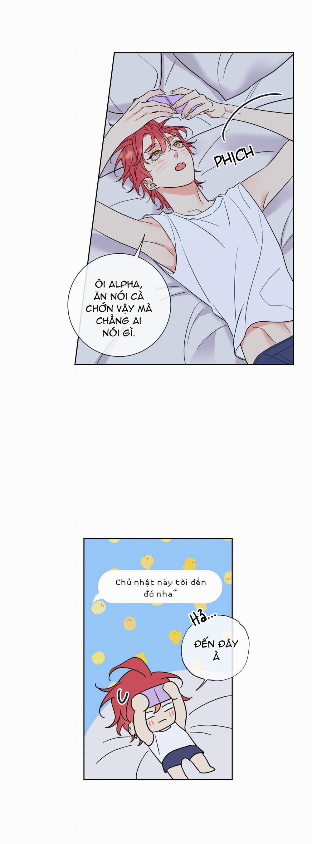 Honey Trouble - Rắc Rối Ngọt Ngào 4 trang 15