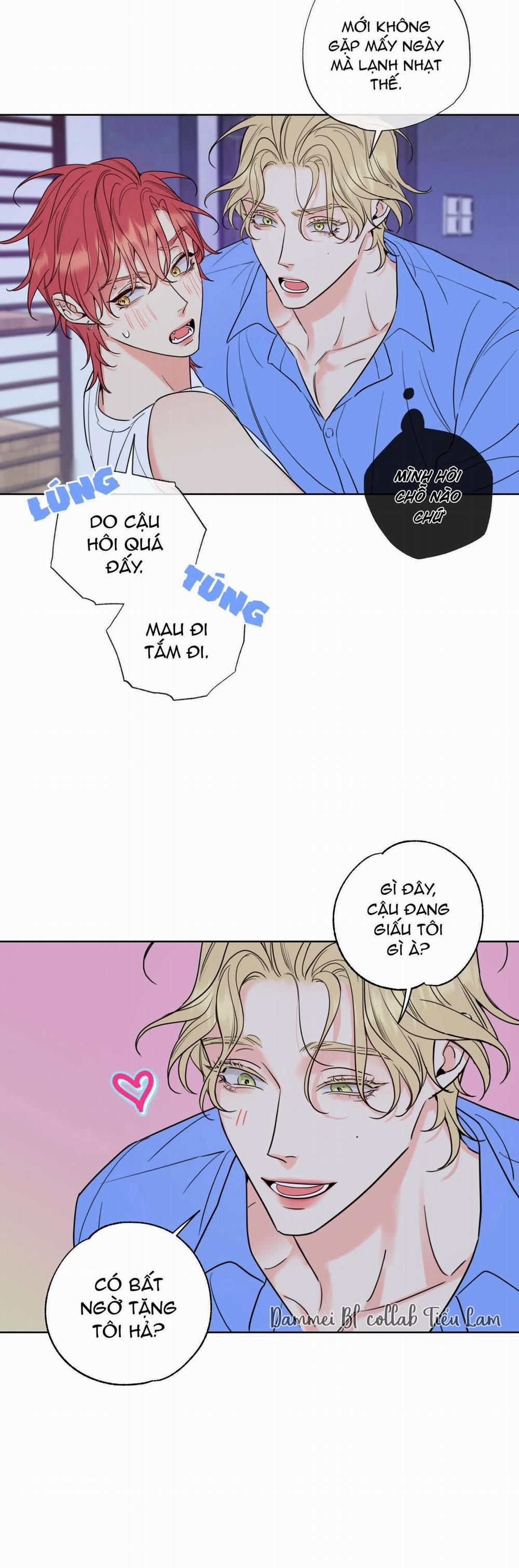 Honey Trouble - Rắc Rối Ngọt Ngào 4 trang 23