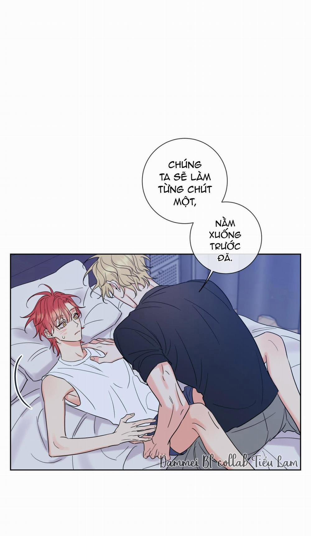 Honey Trouble - Rắc Rối Ngọt Ngào 4 trang 28