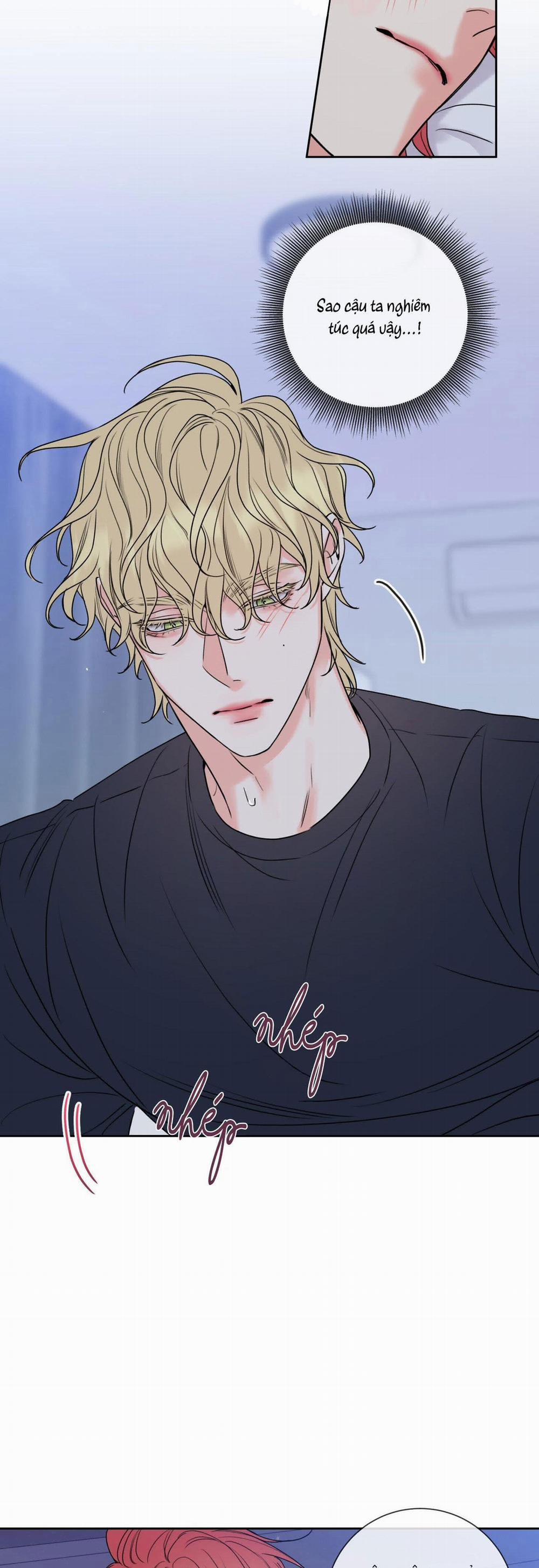 Honey Trouble - Rắc Rối Ngọt Ngào 5 trang 10