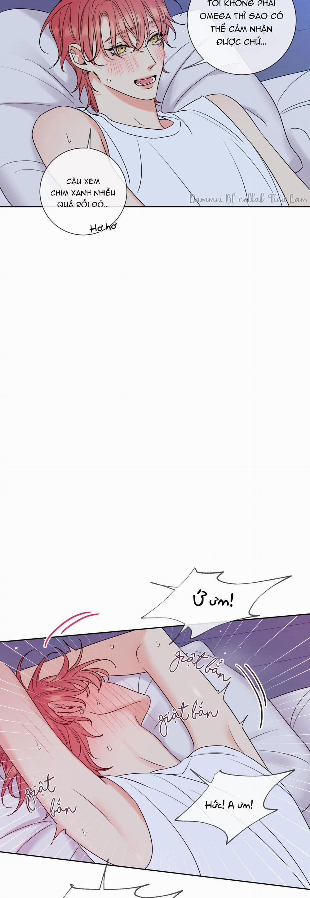 Honey Trouble - Rắc Rối Ngọt Ngào 5 trang 11