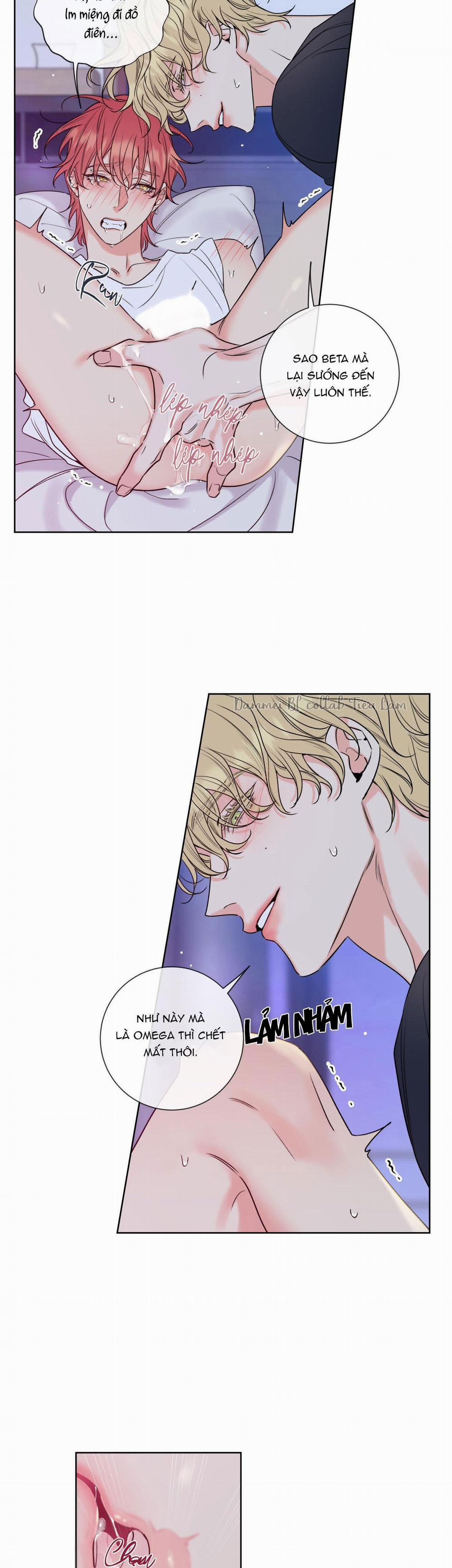 Honey Trouble - Rắc Rối Ngọt Ngào 5 trang 14