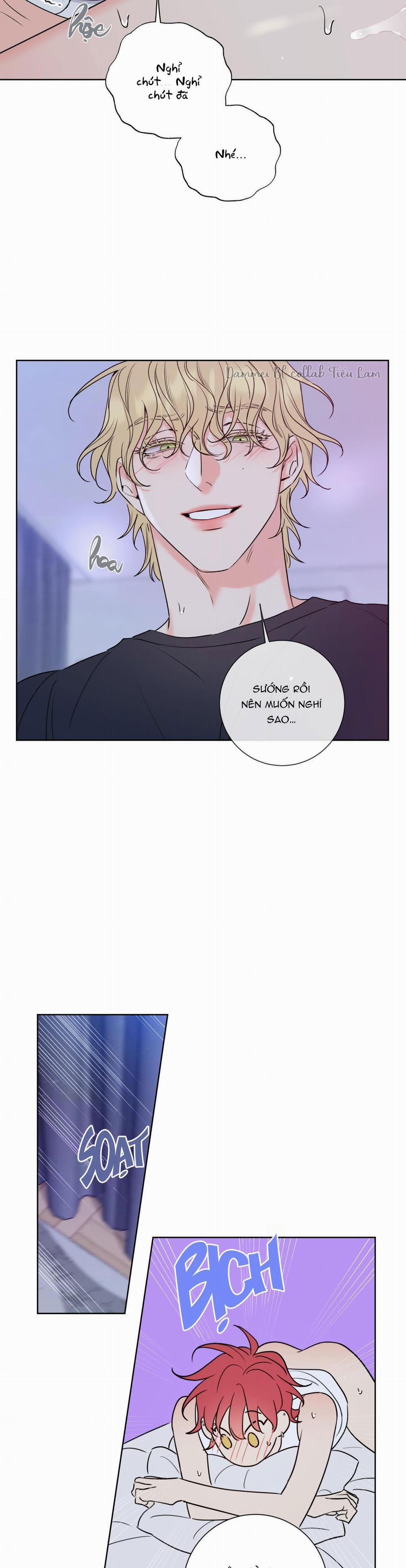 Honey Trouble - Rắc Rối Ngọt Ngào 5 trang 19