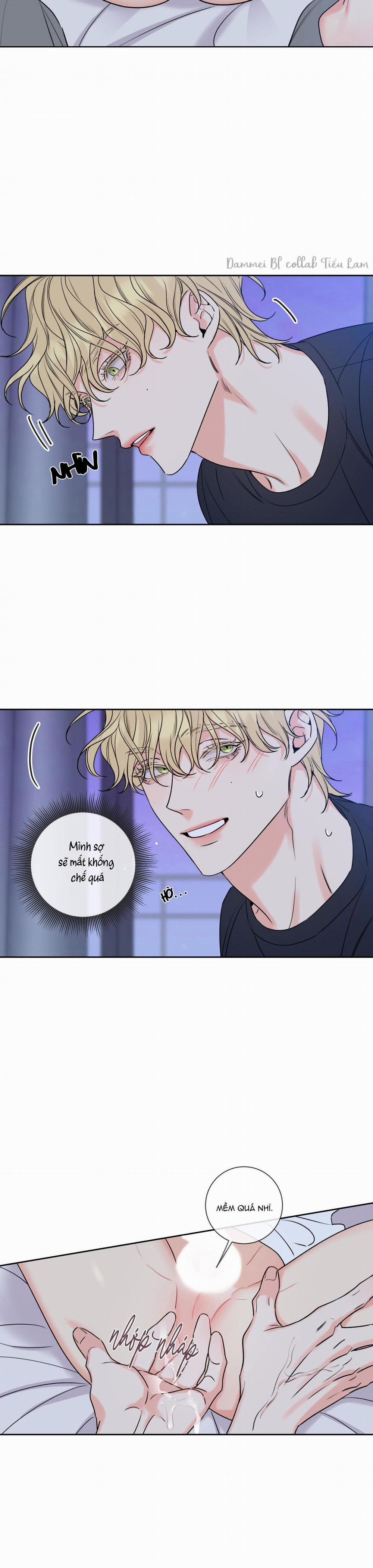 Honey Trouble - Rắc Rối Ngọt Ngào 5 trang 8