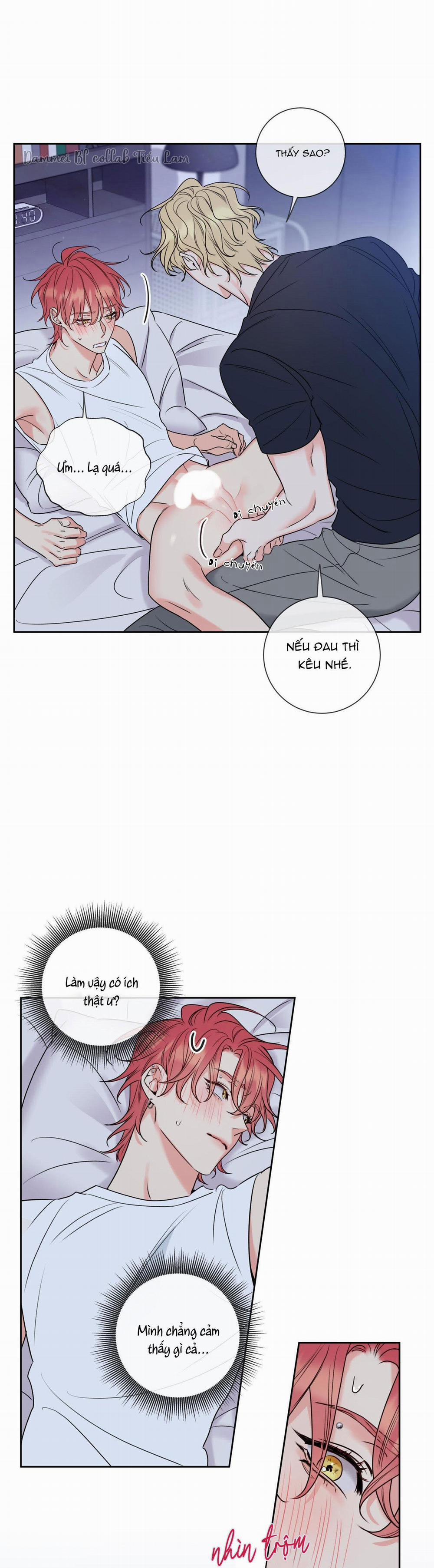 Honey Trouble - Rắc Rối Ngọt Ngào 5 trang 9