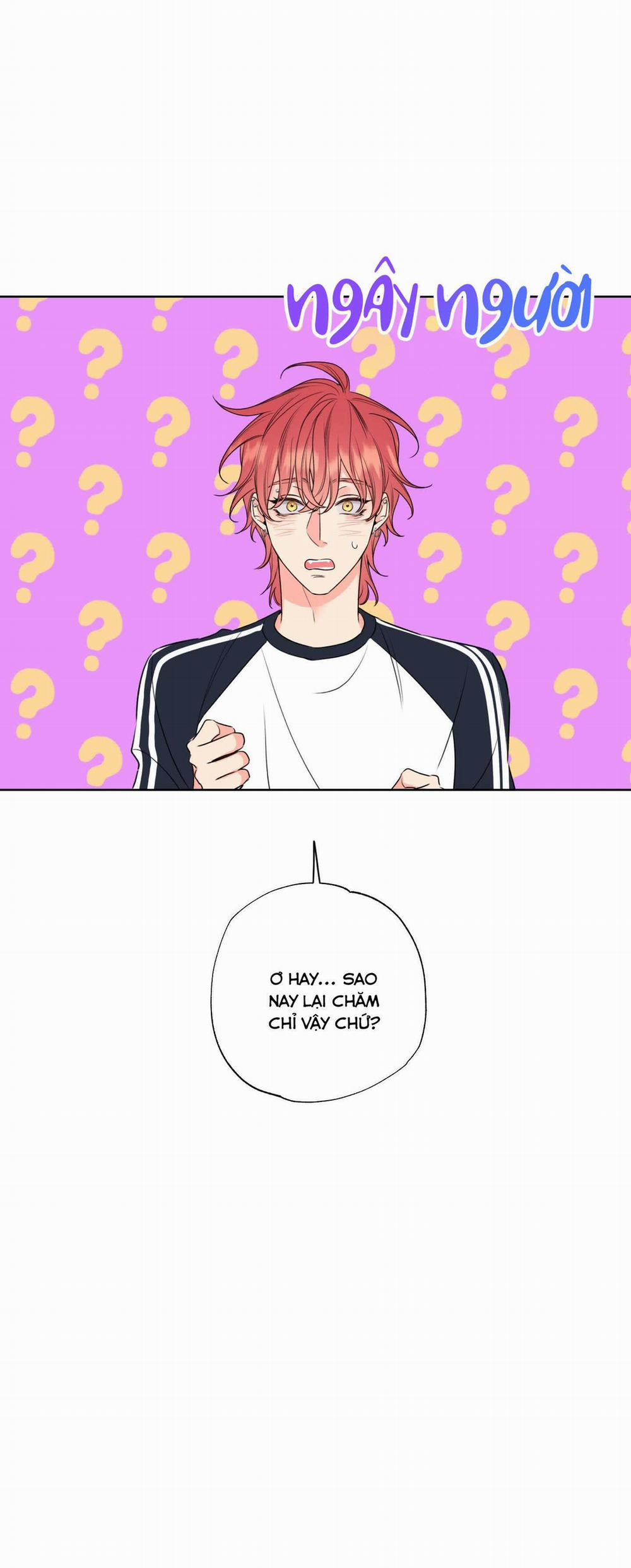 Honey Trouble - Rắc Rối Ngọt Ngào 6 trang 20