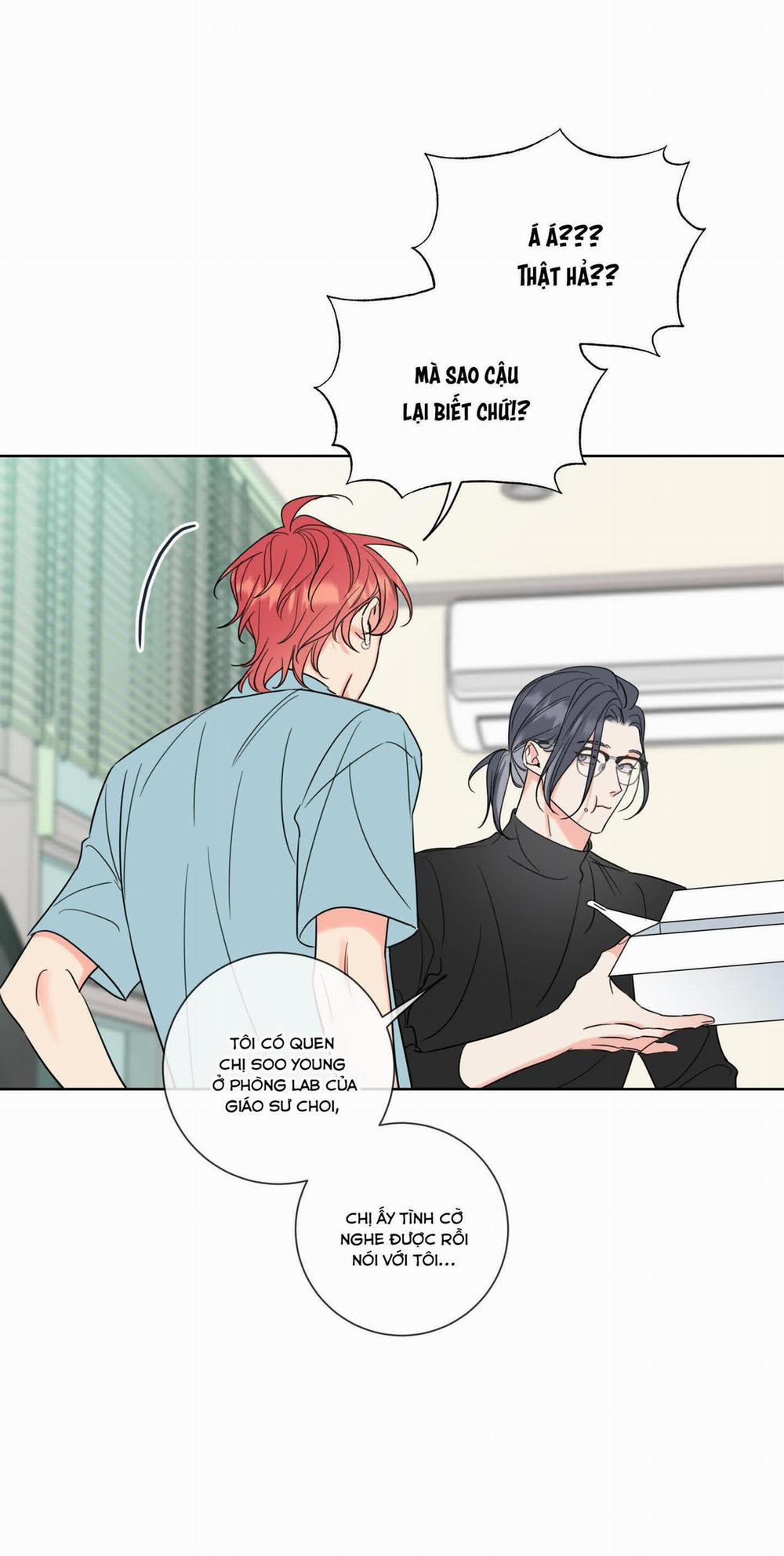 Honey Trouble - Rắc Rối Ngọt Ngào 6 trang 39