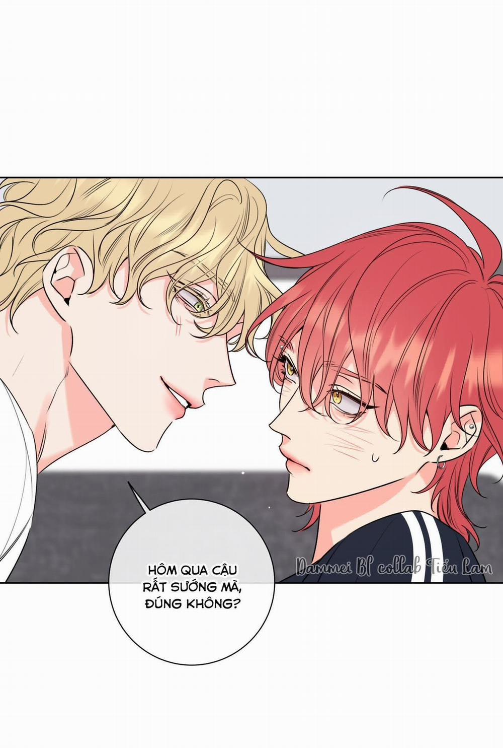 Honey Trouble - Rắc Rối Ngọt Ngào 6 trang 6