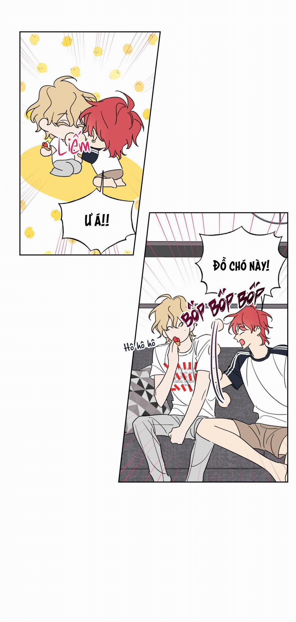 Honey Trouble - Rắc Rối Ngọt Ngào 6 trang 8