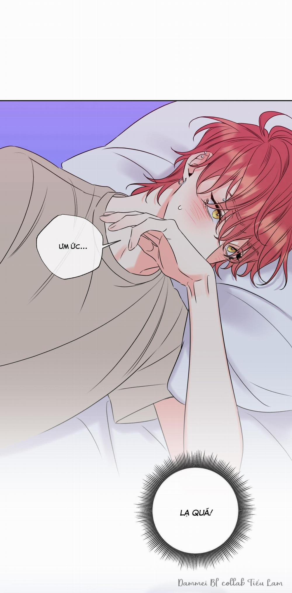 Honey Trouble - Rắc Rối Ngọt Ngào 7 trang 47