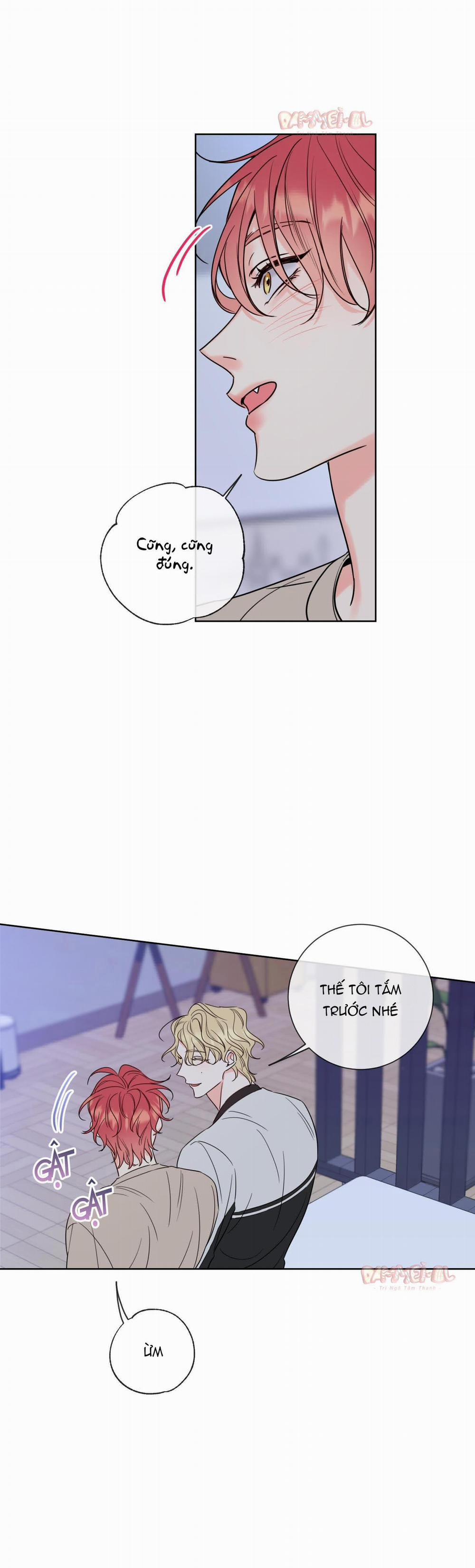 Honey Trouble - Rắc Rối Ngọt Ngào 8 trang 14