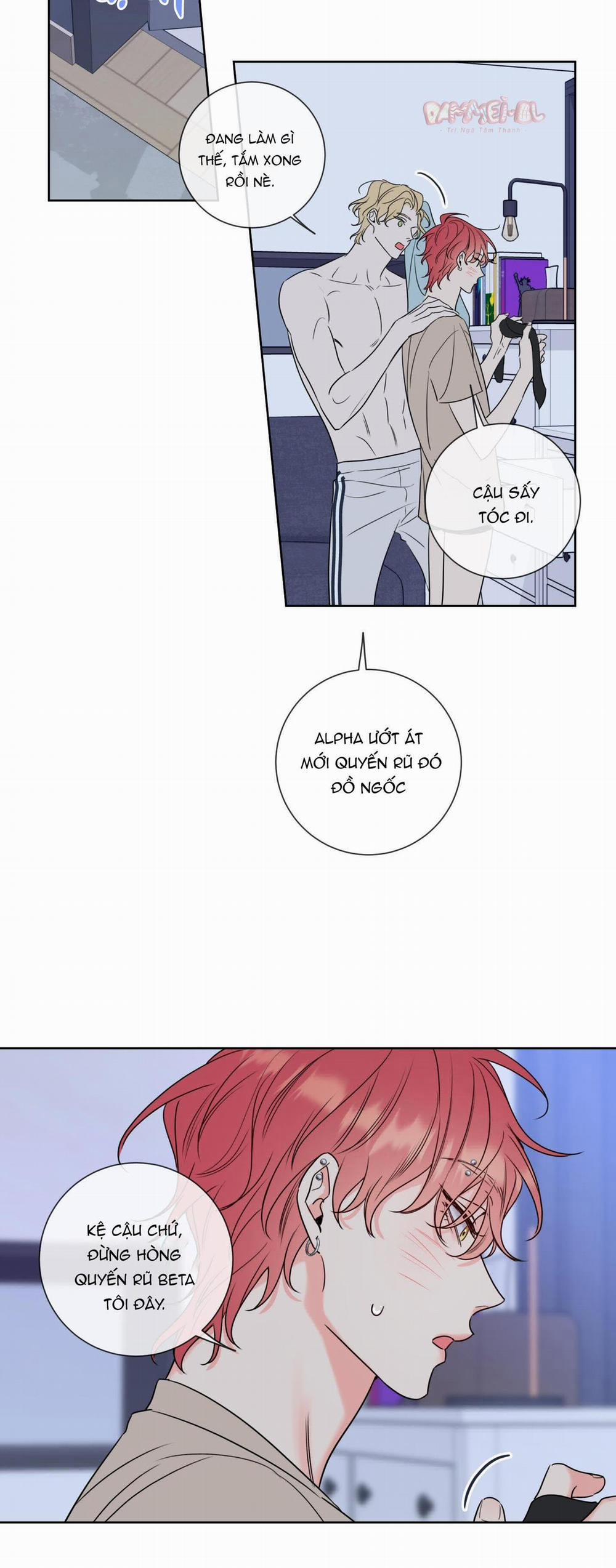 Honey Trouble - Rắc Rối Ngọt Ngào 8 trang 16