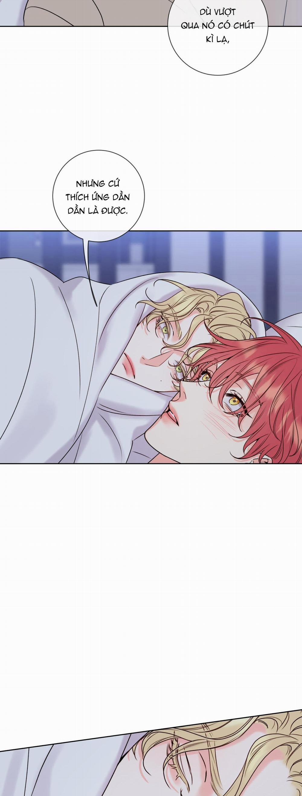 Honey Trouble - Rắc Rối Ngọt Ngào 8 trang 26