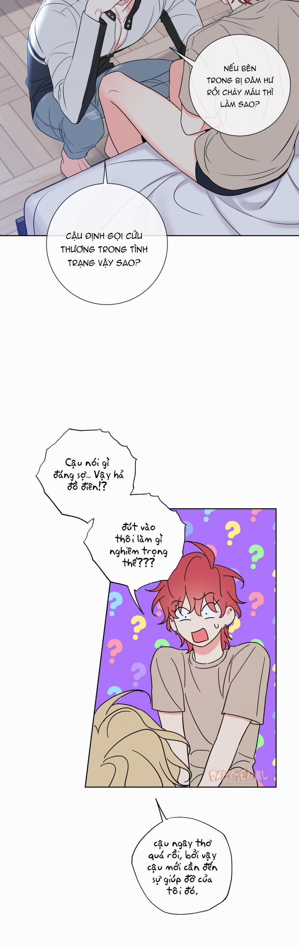 Honey Trouble - Rắc Rối Ngọt Ngào 8 trang 6