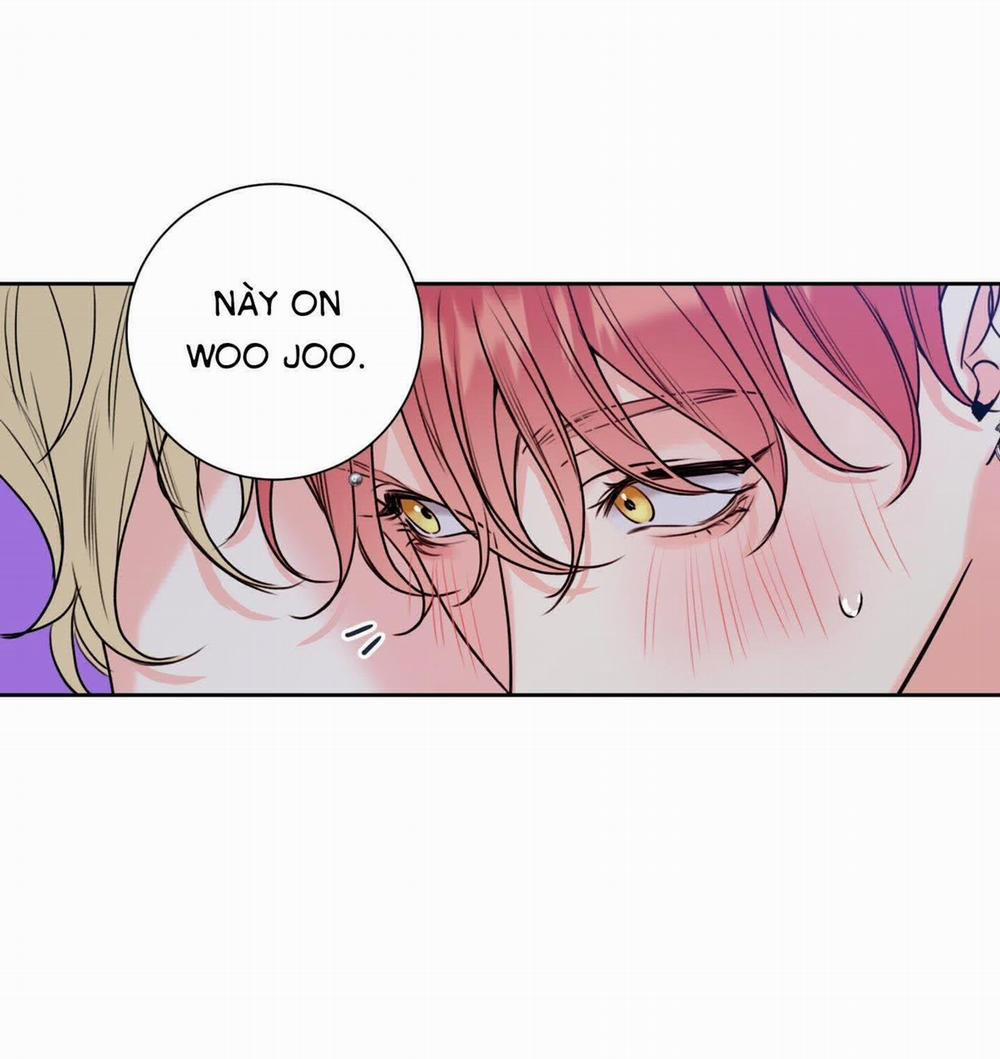 Honey Trouble - Rắc Rối Ngọt Ngào 9 trang 5