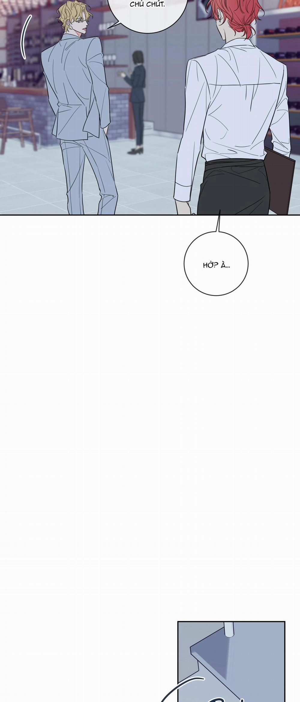 Honey Trouble 14 trang 24