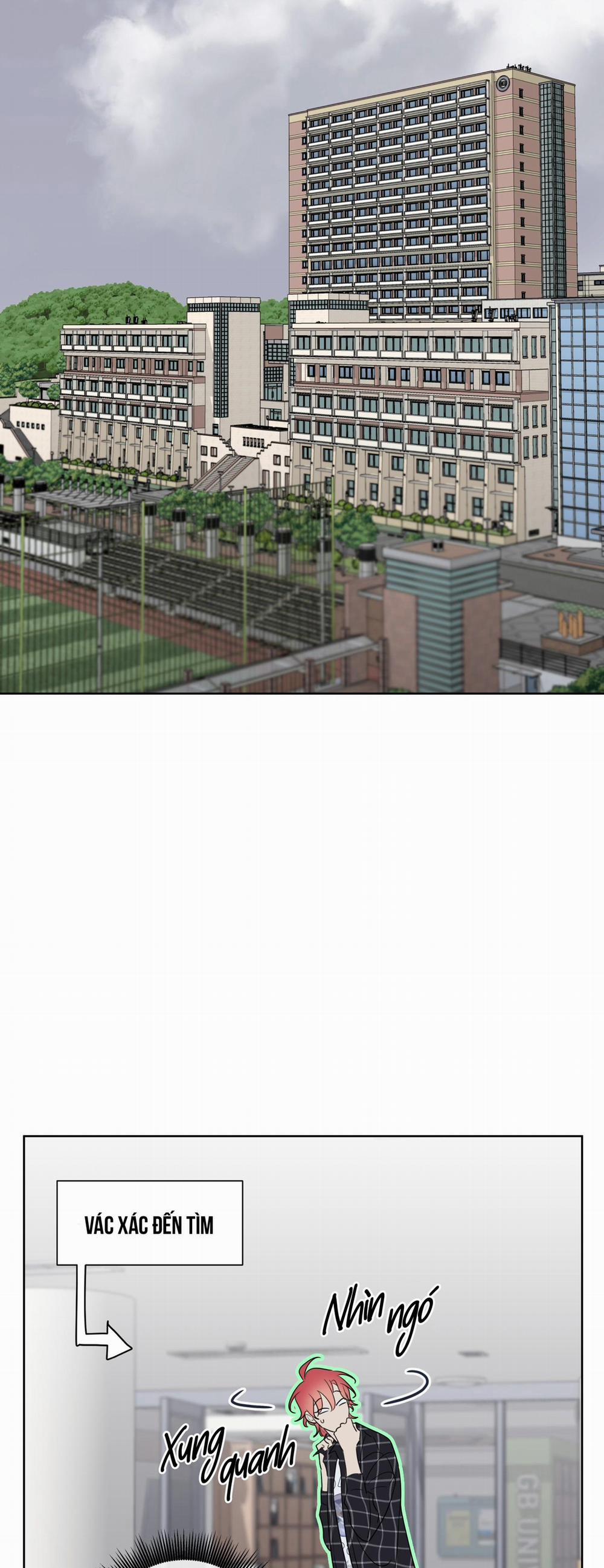 Honey Trouble 14 trang 63