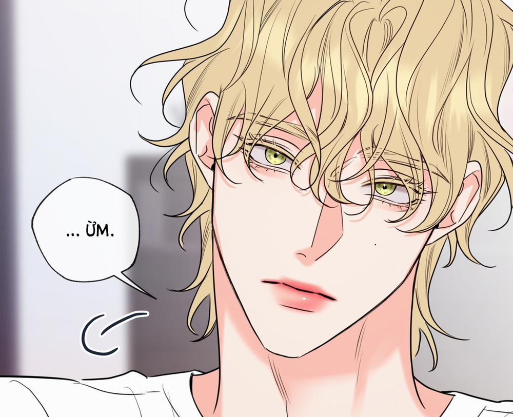 Honey Trouble 16.2 trang 36