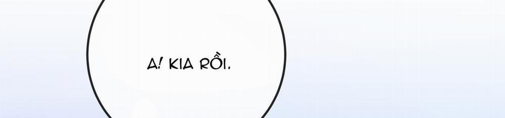 Honey Trouble 17 trang 14