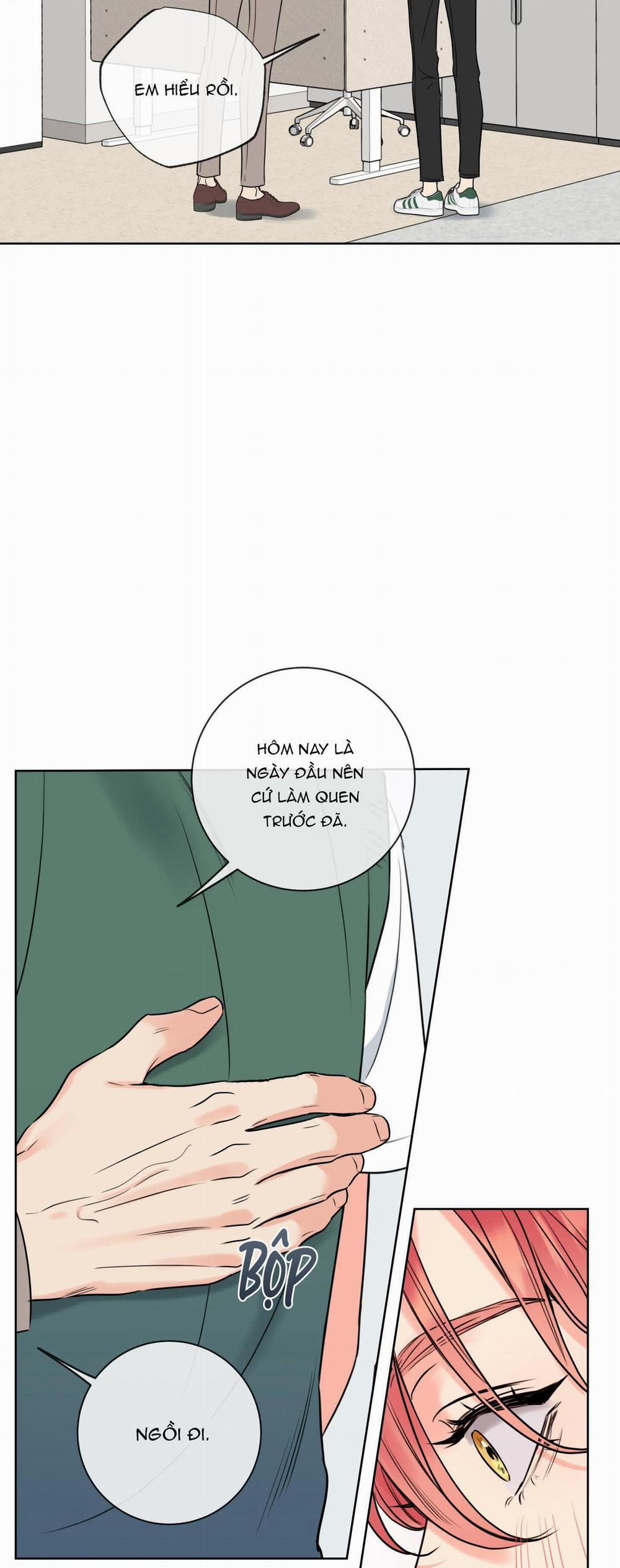 Honey Trouble 17 trang 25