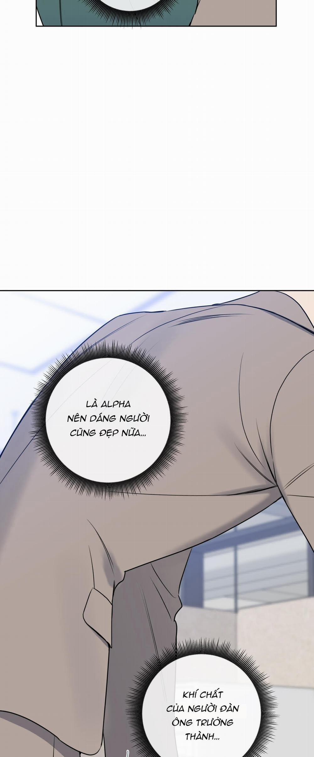 Honey Trouble 17 trang 28