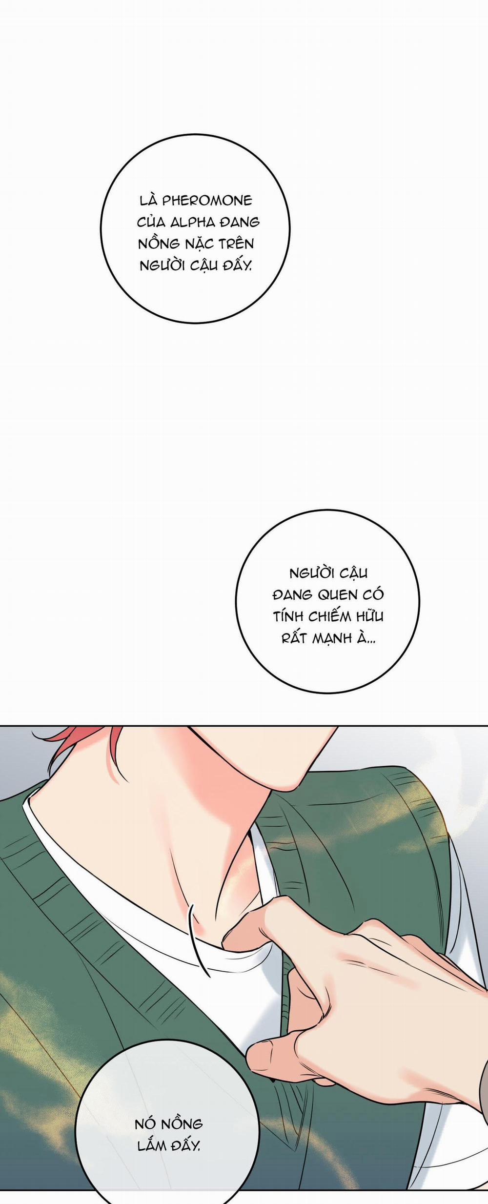 Honey Trouble 17 trang 38