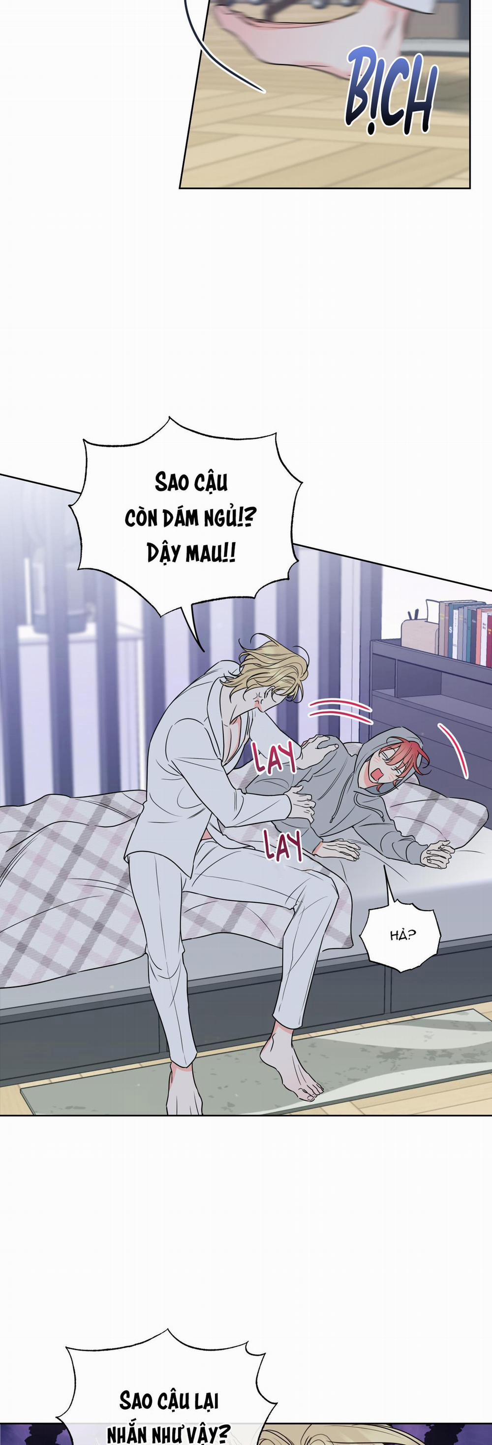 Honey Trouble 18 trang 1