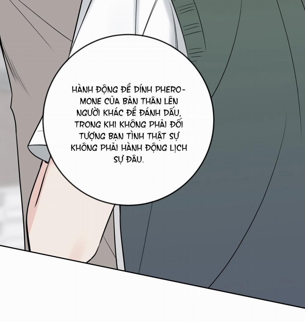 Honey Trouble 23.2 trang 21