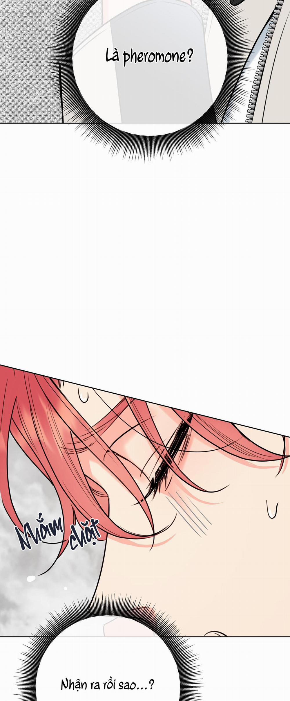 Honey Trouble 23 trang 24