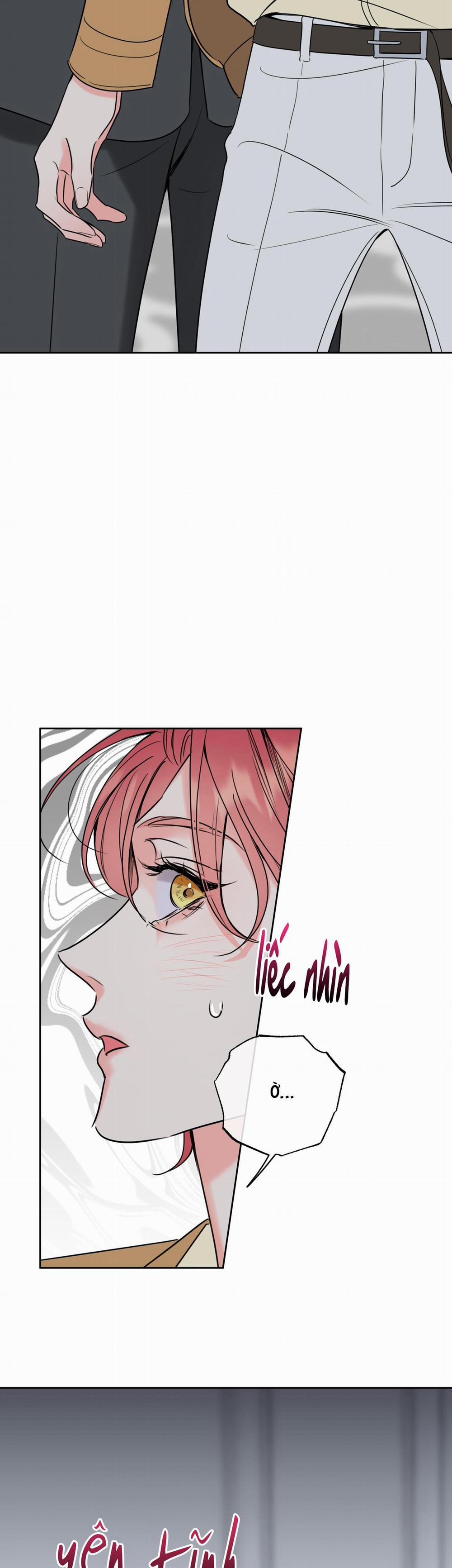 Honey Trouble 27 trang 1