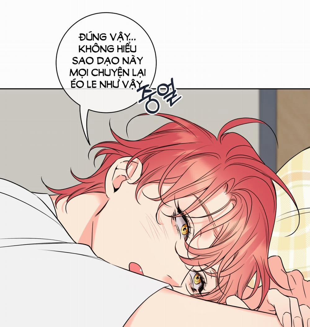 Honey Trouble 28.1 trang 5