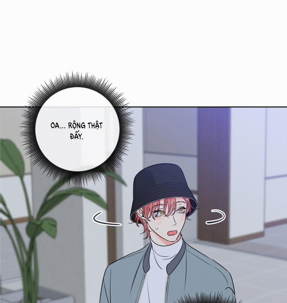 Honey Trouble 28.2 trang 23