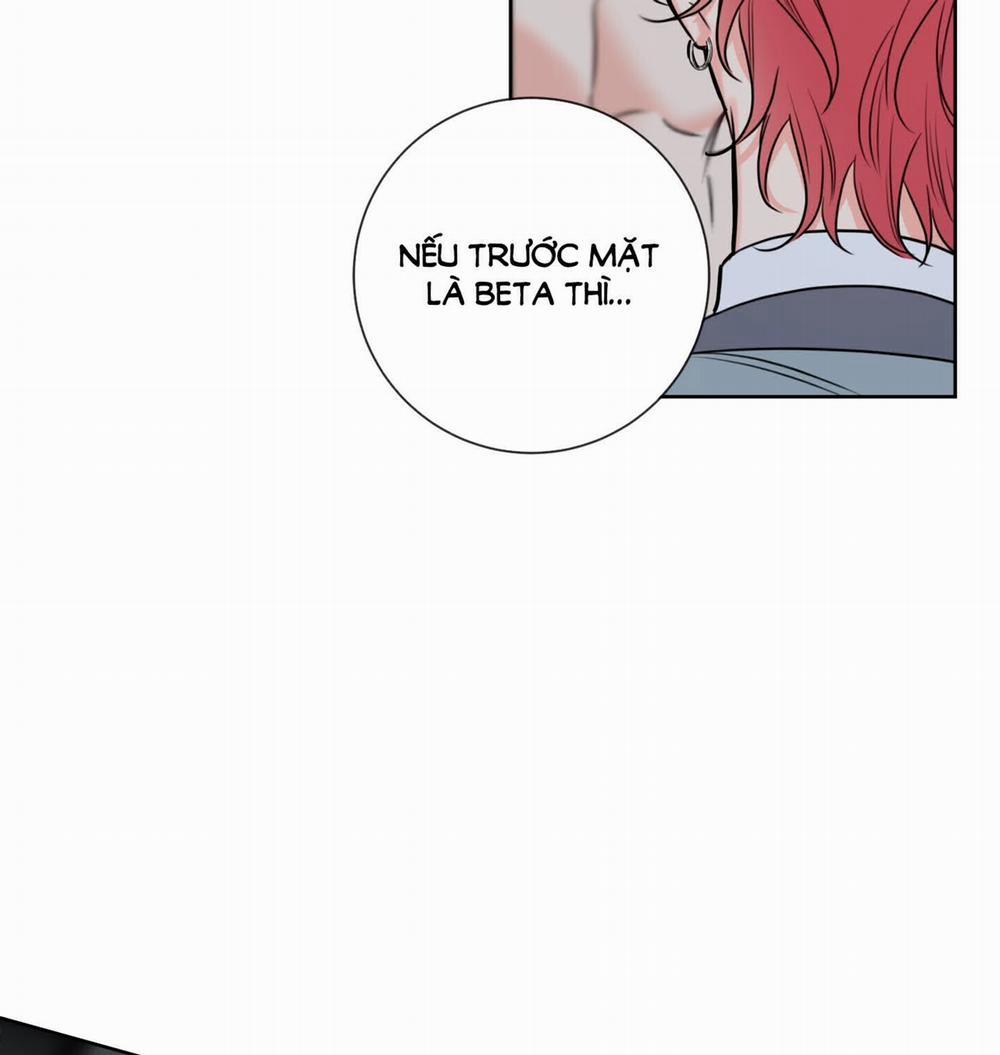 Honey Trouble 29.1 trang 29