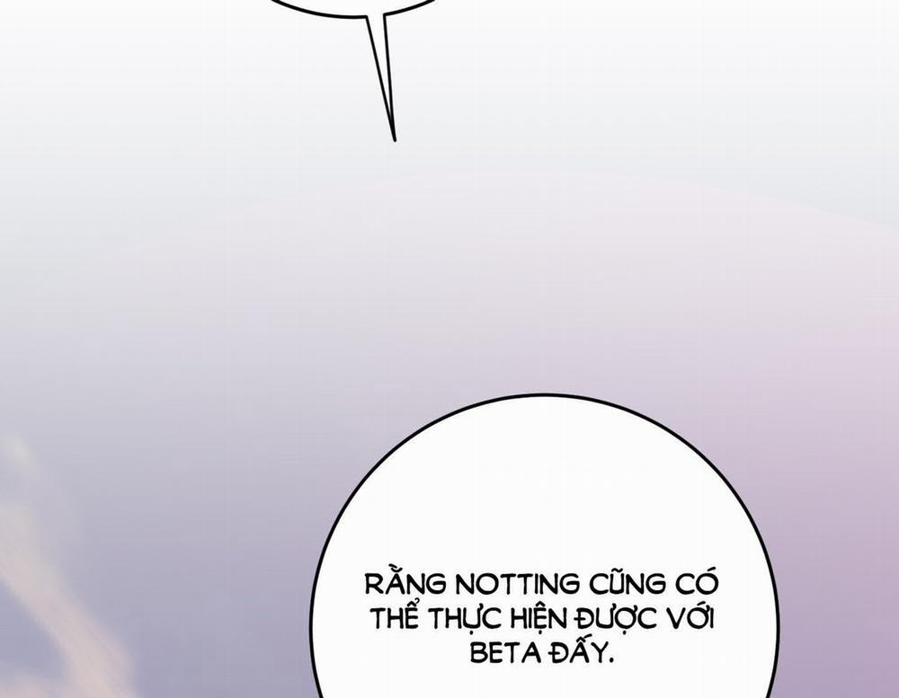 Honey Trouble 29.2 trang 100