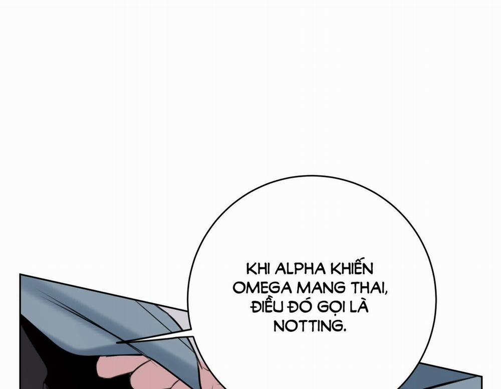 Honey Trouble 29.2 trang 95