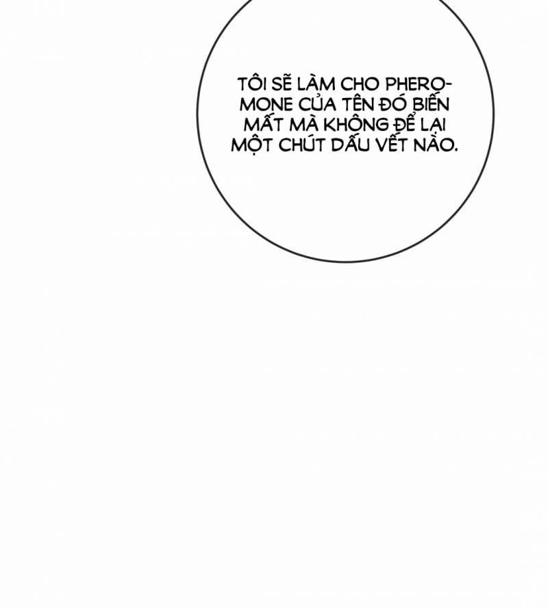 Honey Trouble 30.5 trang 49