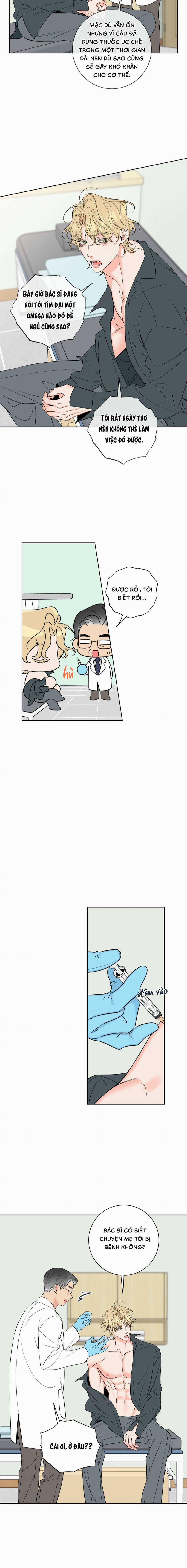 Honey Trouble 33 trang 8