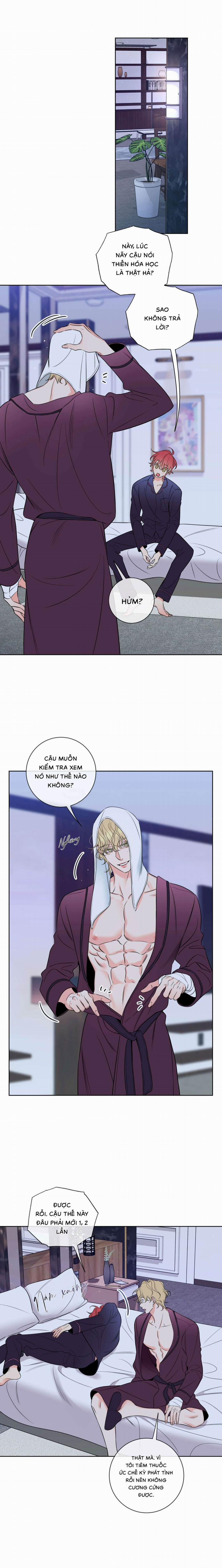 Honey Trouble 34 trang 1