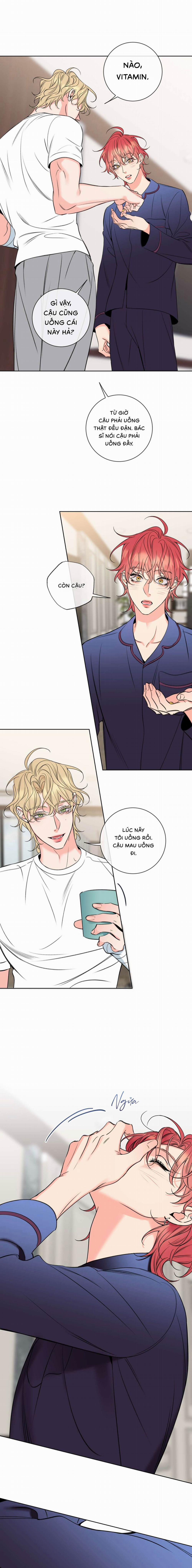 Honey Trouble 37 trang 7